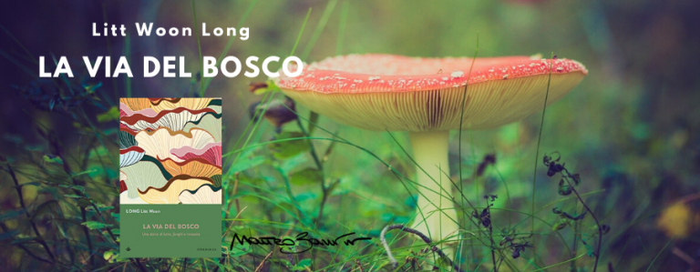 “La via del bosco”, di Litt Woon Long – la recensione