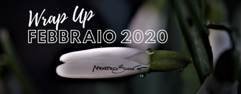 Wrap Up Febbraio 2020